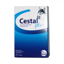 Cestal Plus rágótabletta 8db Cestal Plus rágótabletta 8db