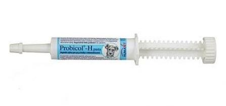 Probico H paszta 15ml probicolh