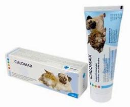 Calomax paszta 120g calomax